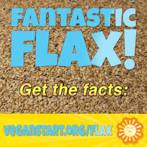 vs-graphic-flax