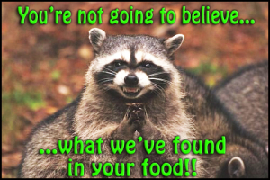 vs-raccoon-foundinfood
